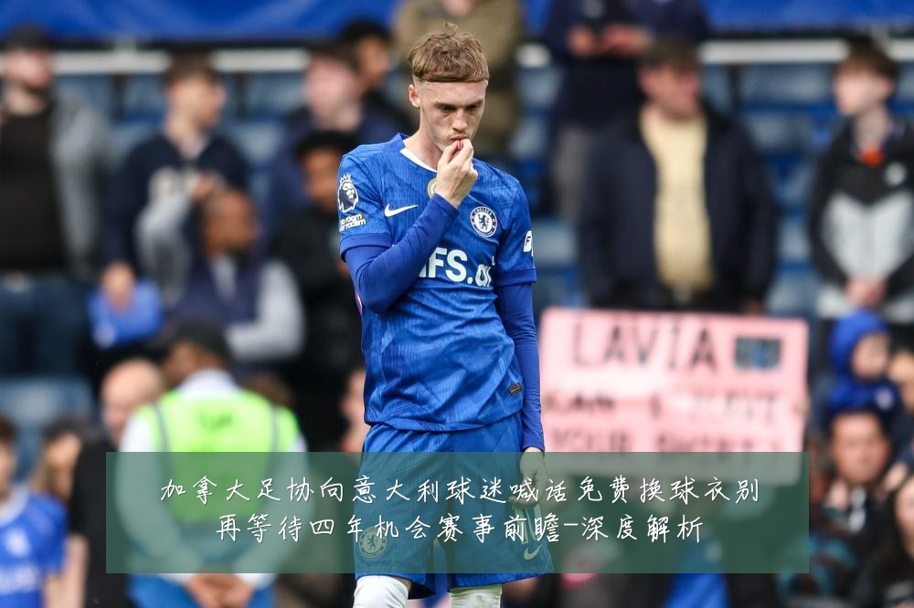 加拿大足协向意大利球迷喊话免费换球衣别再等待四年机会赛事前瞻-深度解析